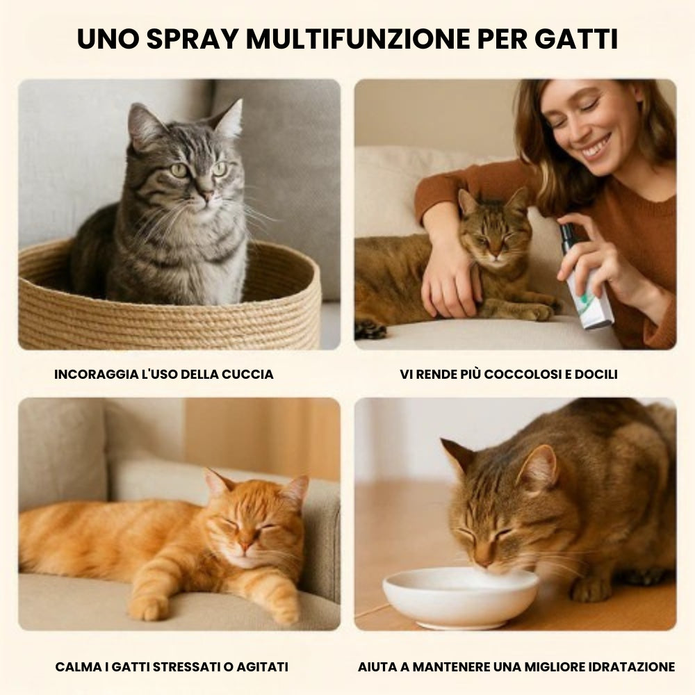 Spray calmante con erba gatta