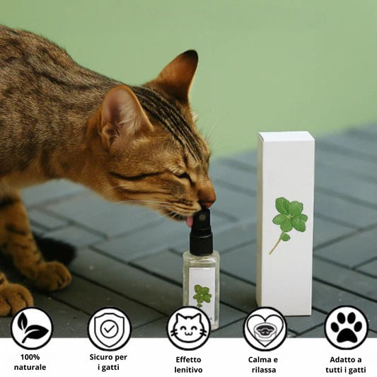Spray calmante con erba gatta