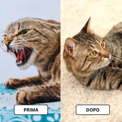 Spray calmante con erba gatta