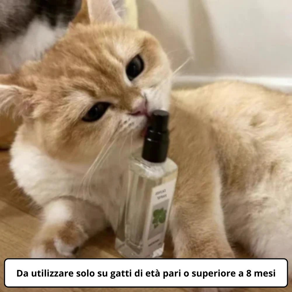 Spray calmante con erba gatta
