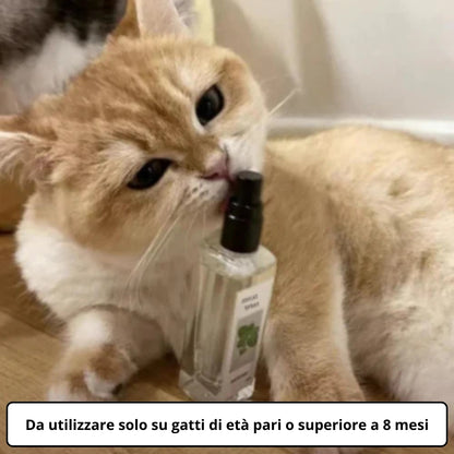 Spray calmante con erba gatta