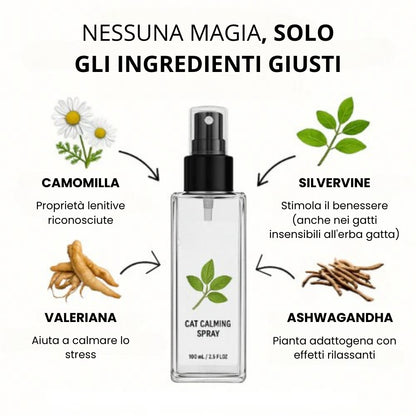 Spray calmante con erba gatta