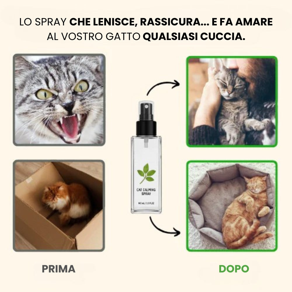 Spray calmante con erba gatta